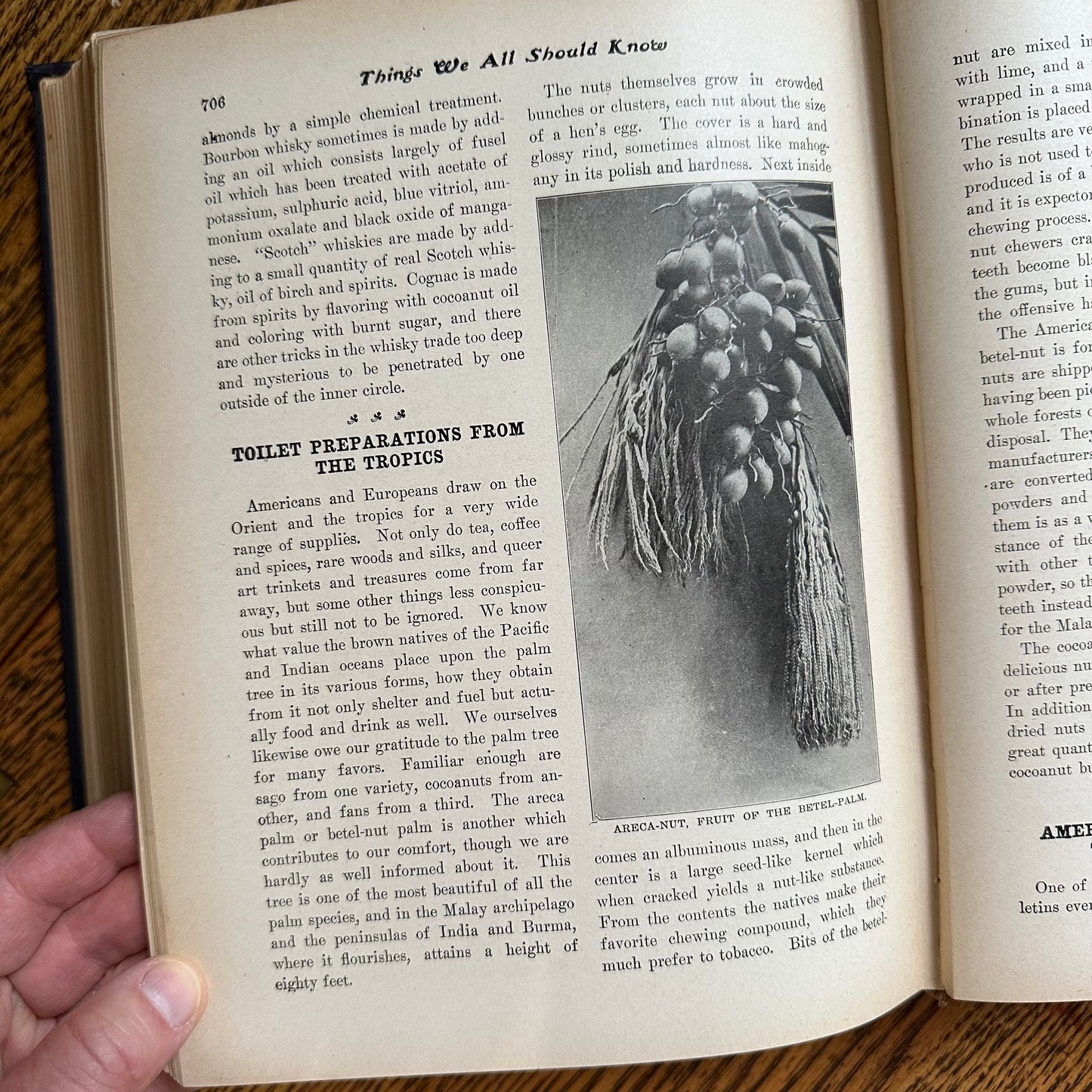 The World’s Triumphant Knowledge and Works - 1902