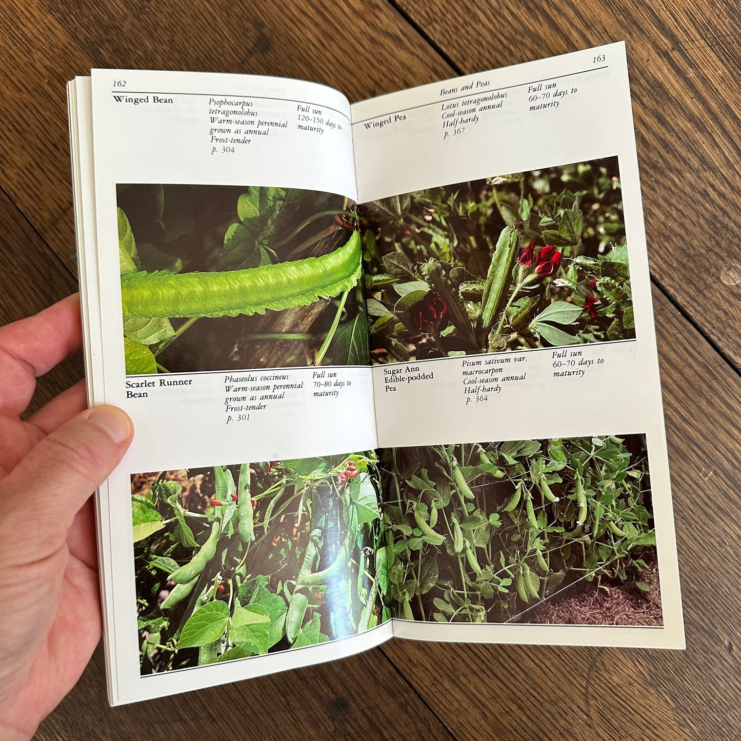 A Set of 7 Vintage Taylor’s Garden Guides!