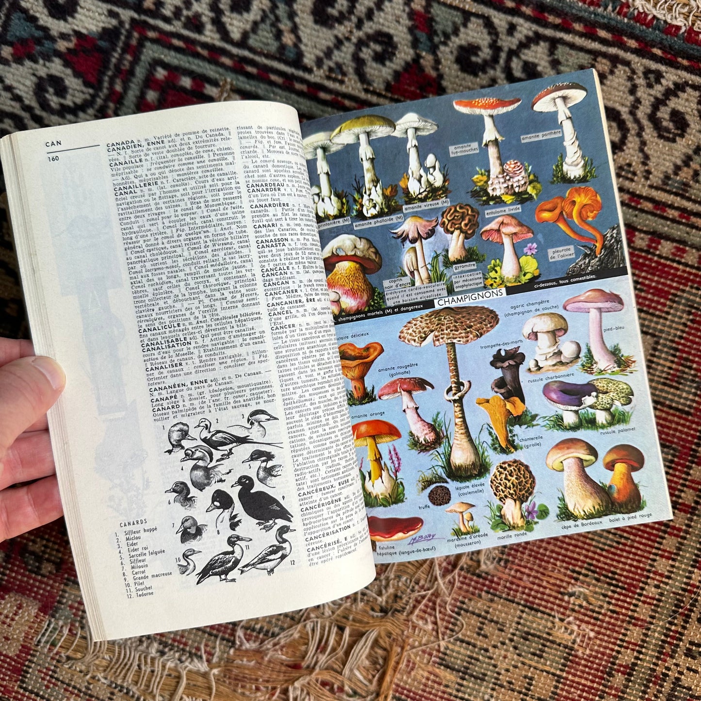 Petit Larousse French Encyclopedic Dictionary - 1967