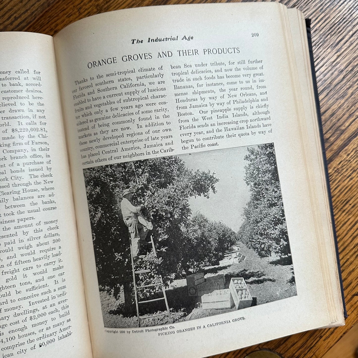 The World’s Triumphant Knowledge and Works - 1902