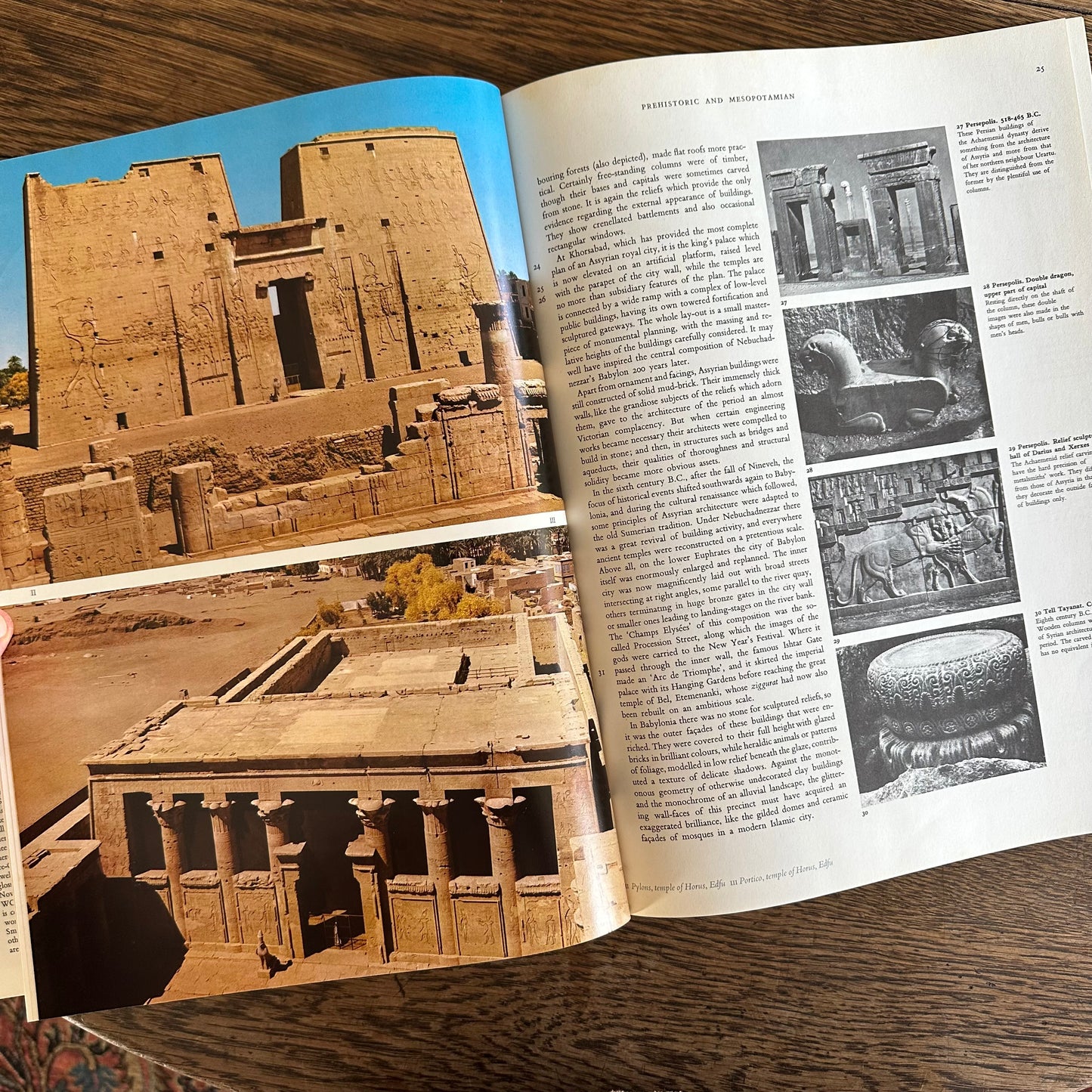 World Architecture: An Illustrated History, 1972