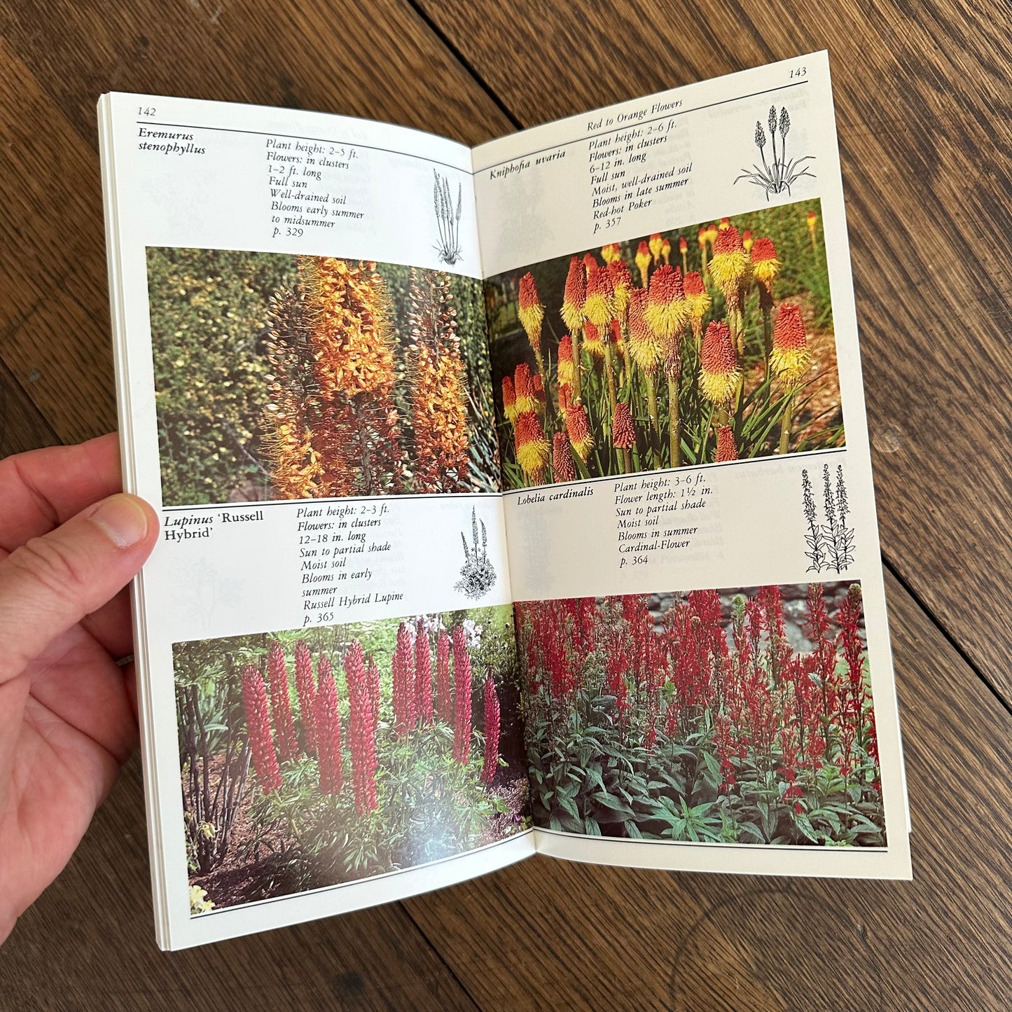A Set of 7 Vintage Taylor’s Garden Guides!