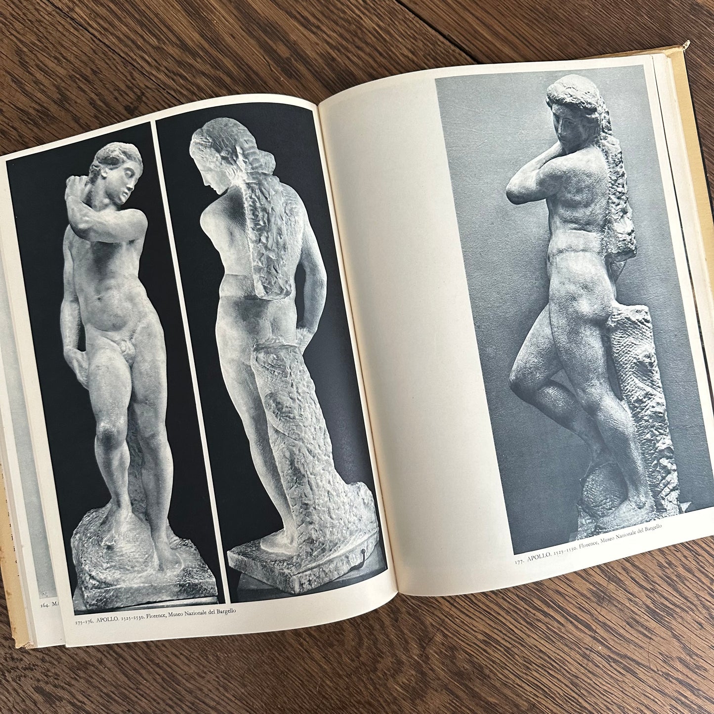 Michelangelo: Paintings, Sculptures, Architecture, 1954