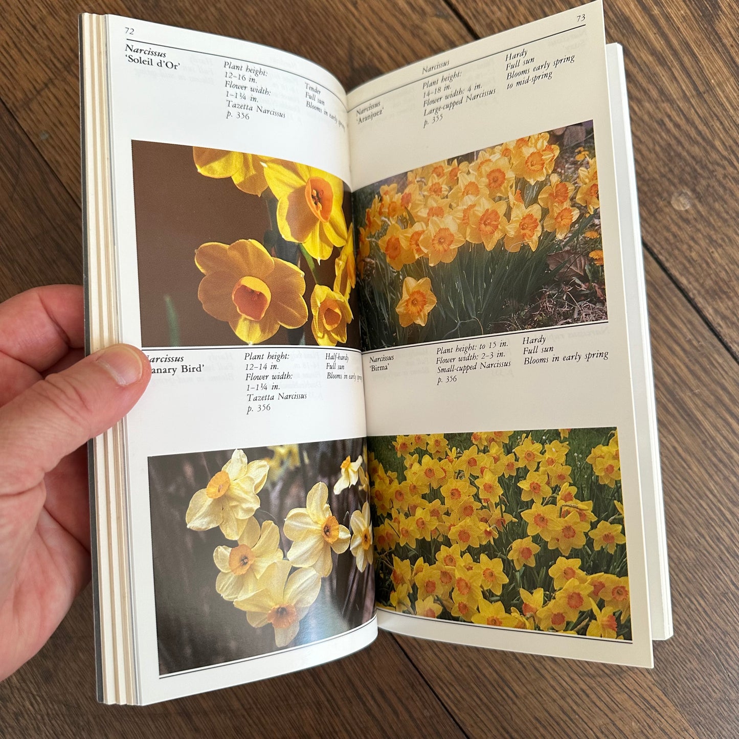 A Set of 7 Vintage Taylor’s Garden Guides!