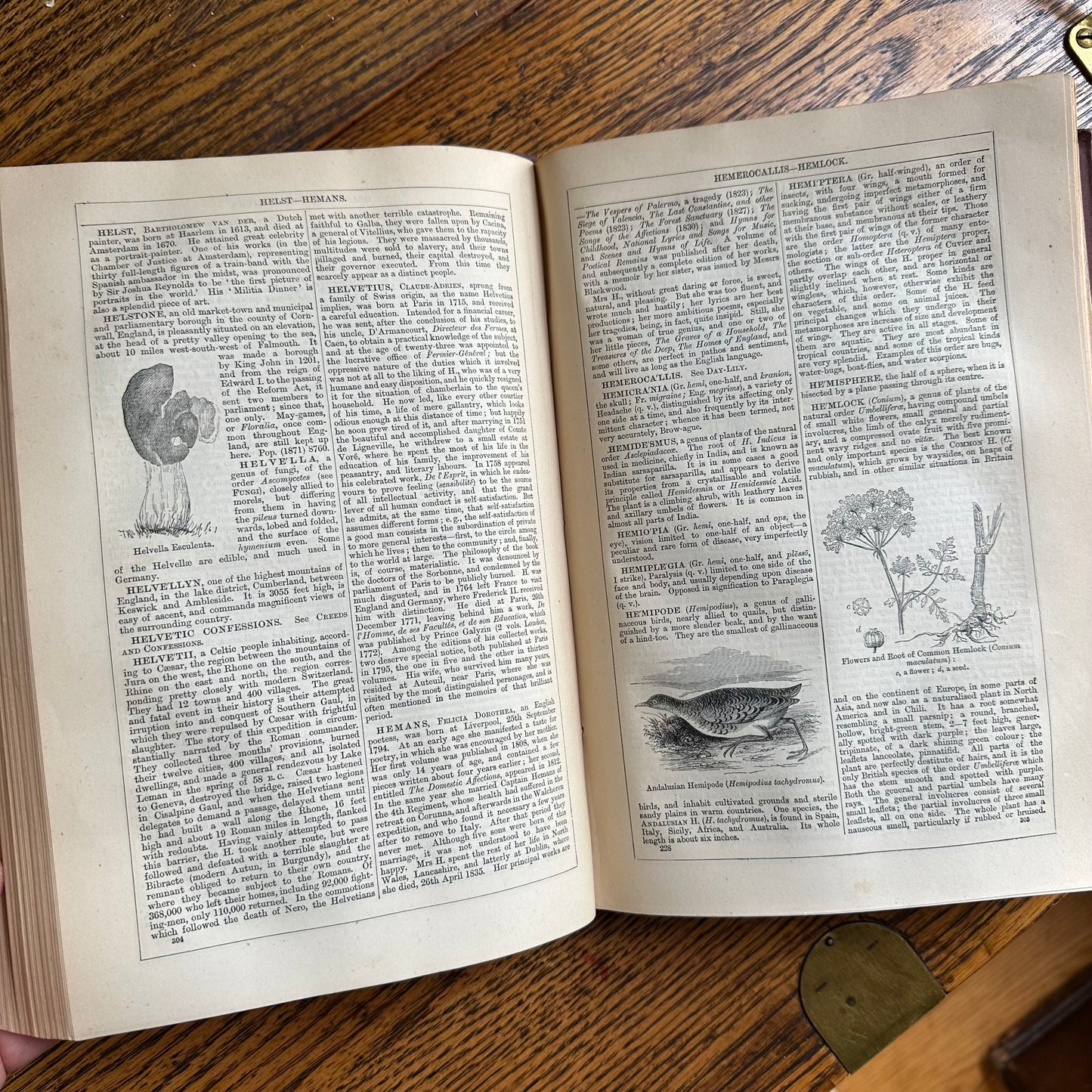 Chambers’s Encyclopaedia - 1877 - in 10 Volumes