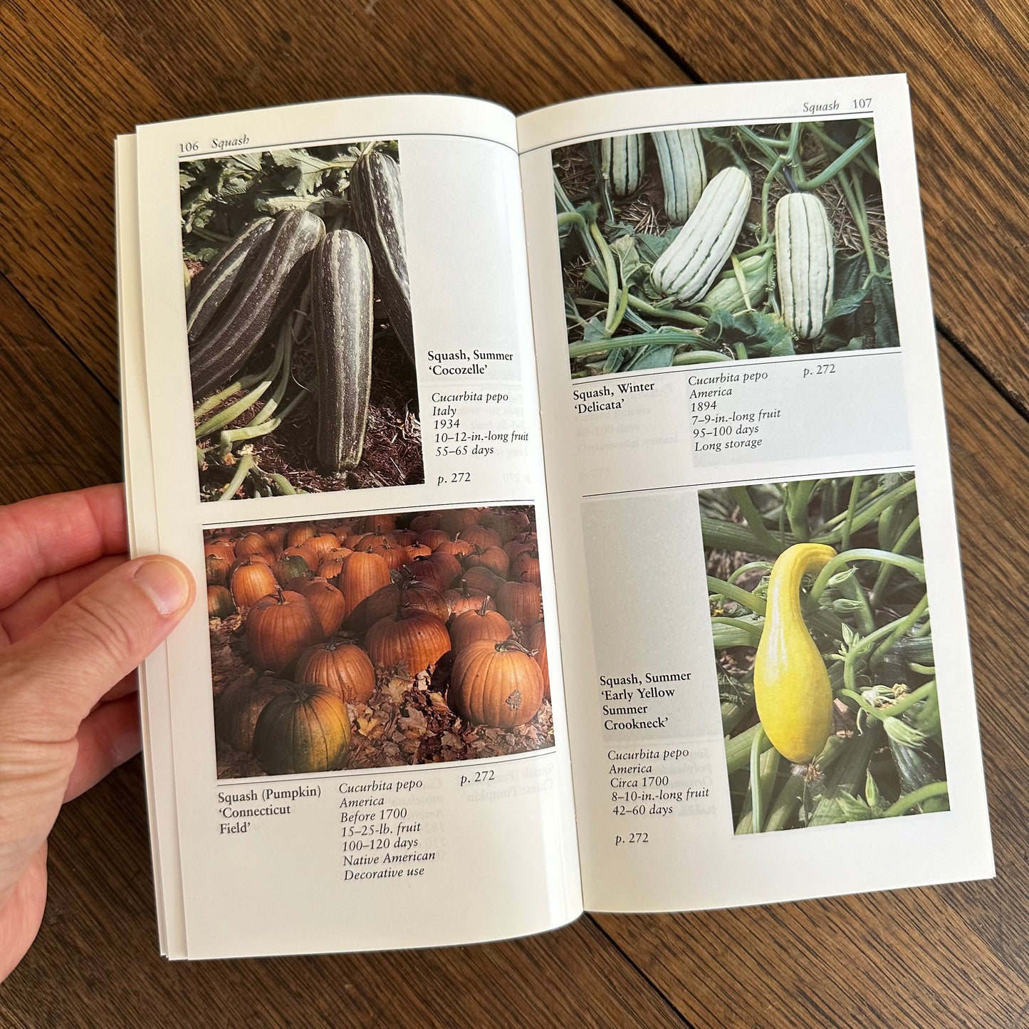 A Set of 7 Vintage Taylor’s Garden Guides!