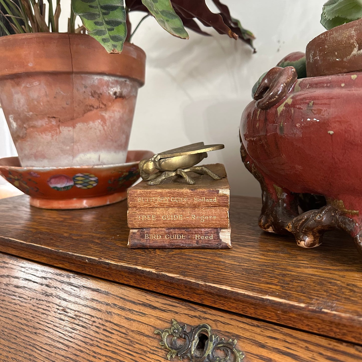 A Set of 3 Leather-Bound Pocket Nature Guides - 1916