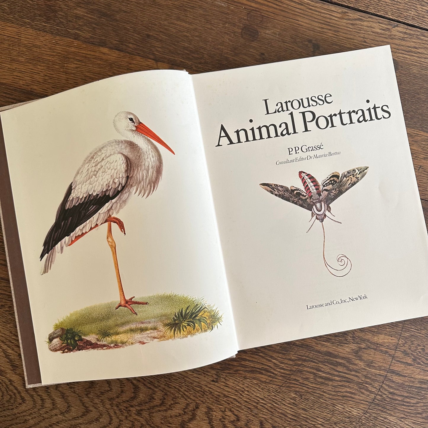 Larousse Animal Portraits - 1st US Edition - 1977