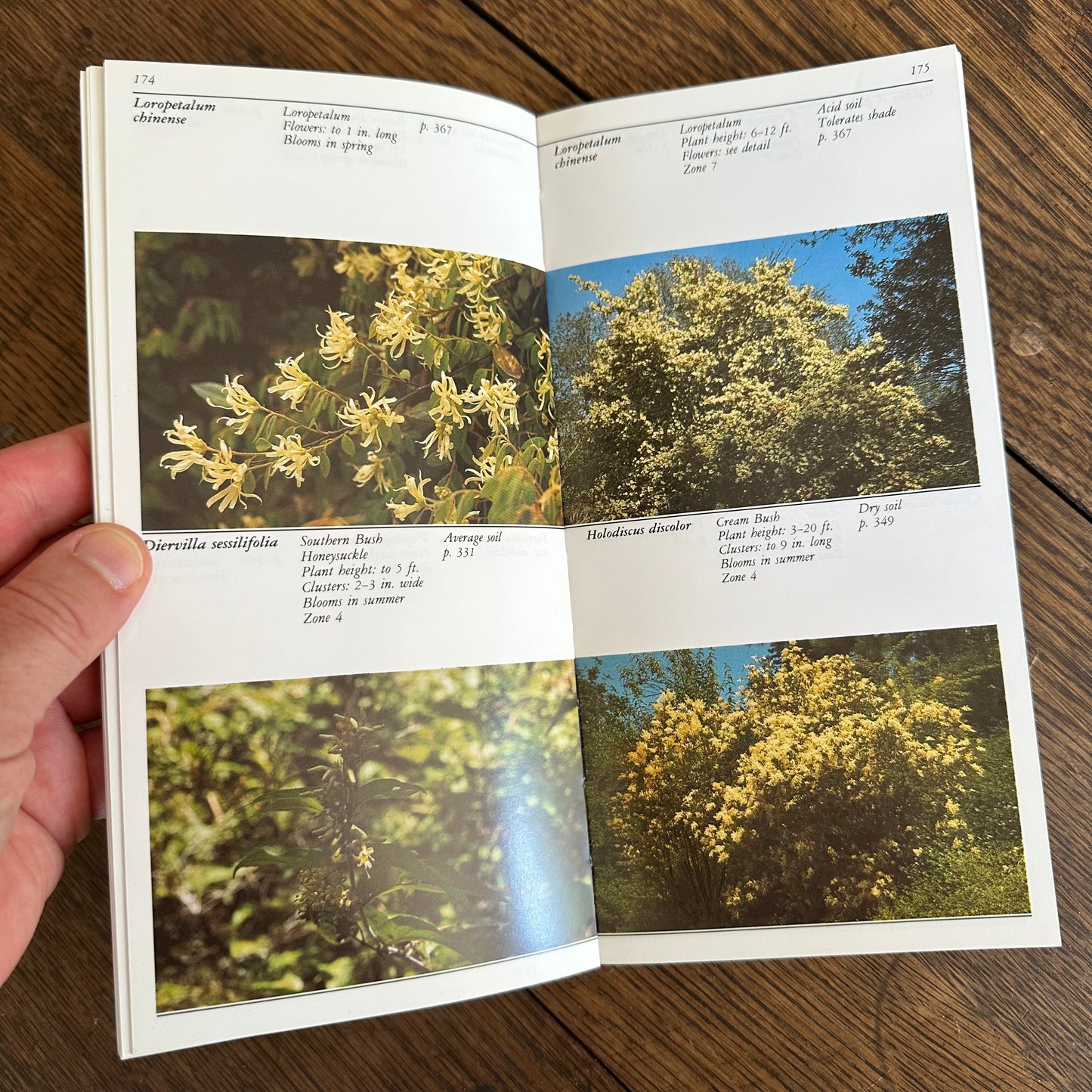 A Set of 7 Vintage Taylor’s Garden Guides!