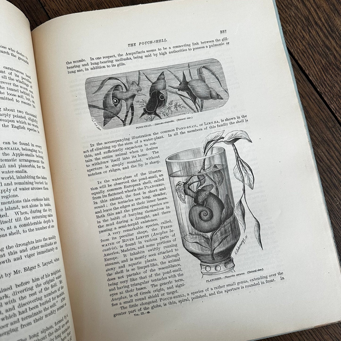 Complete 60-Part Set — Animate Creation: A Popular Edition of Our Living World, 1885-1898