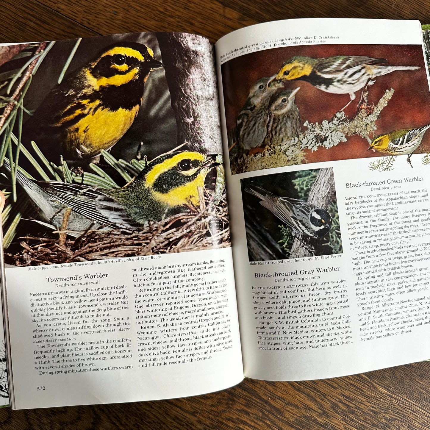Vintage 1964 Song and Garden Birds of North America – National Geographic Society – Alexander Wetmore – Illustrated Bird Guide w/ Companion Booklet – Birdwatching Book