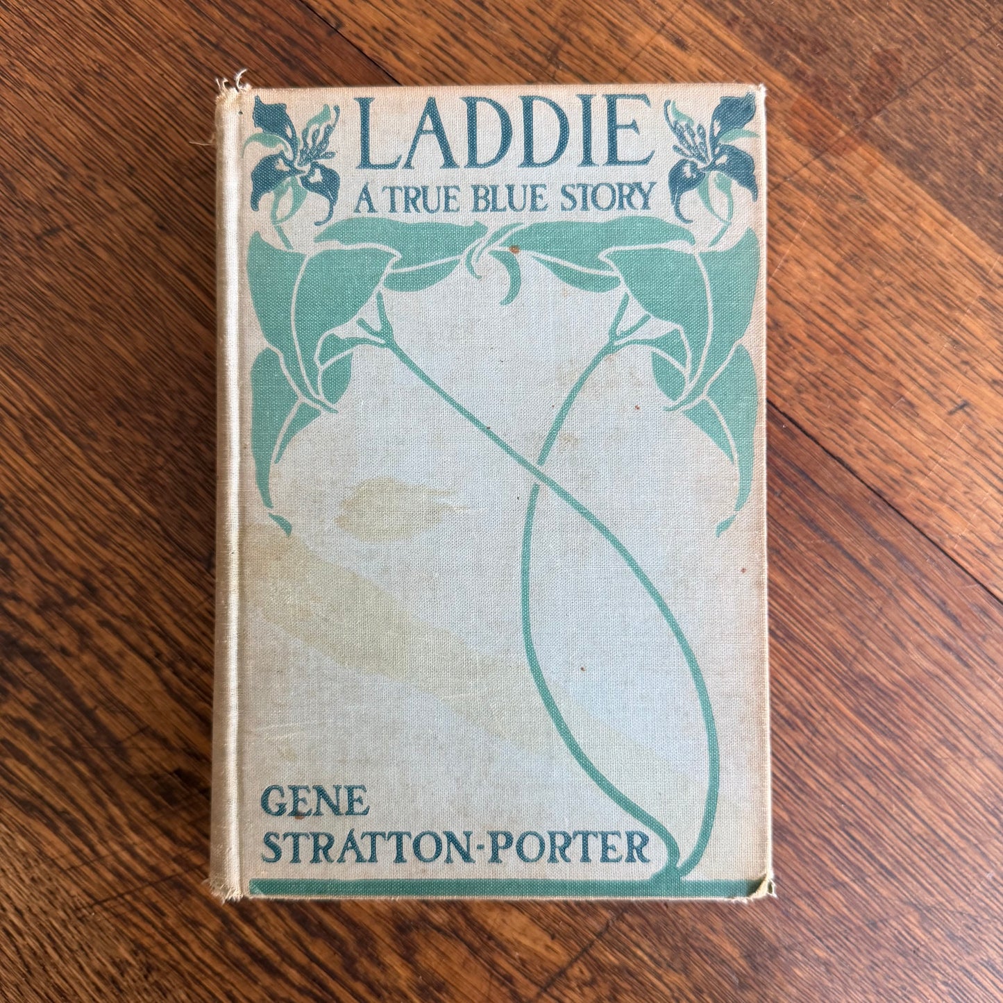 6 Antique Fiction Books in Fabulous Shades of Blue - 1900-1925 - Lillian Garis Laura Lee Hope Gene Stratton Porter, etc.