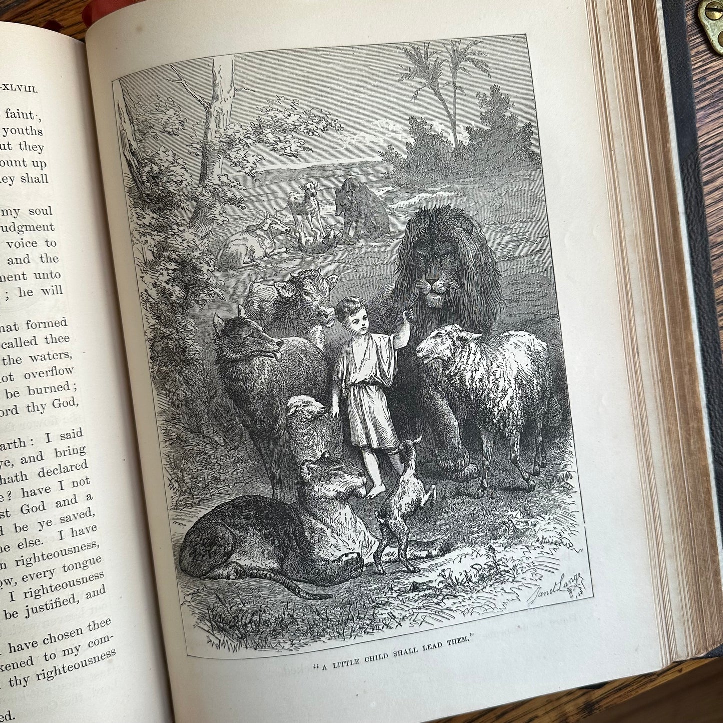 19th Century Child’s Bible