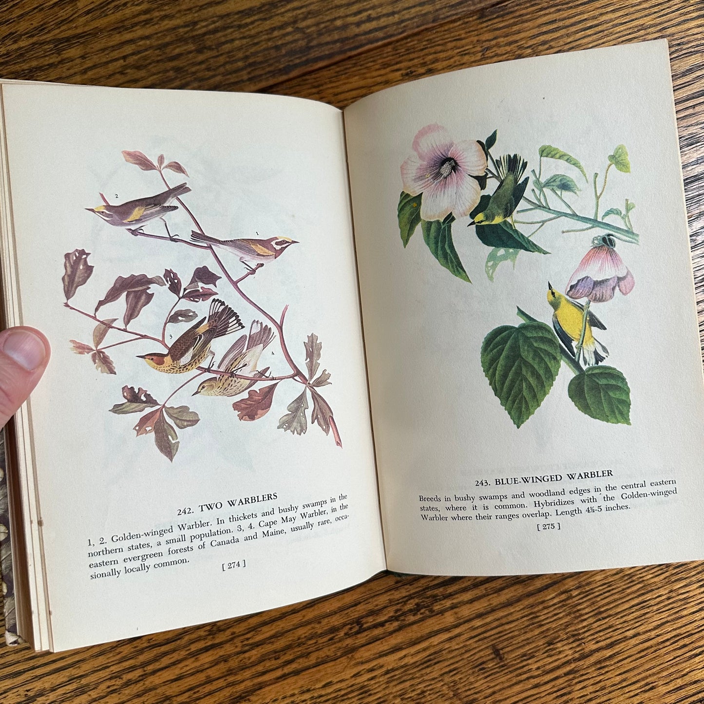 Audubon’s Birds of America - 1950 Popular Edition