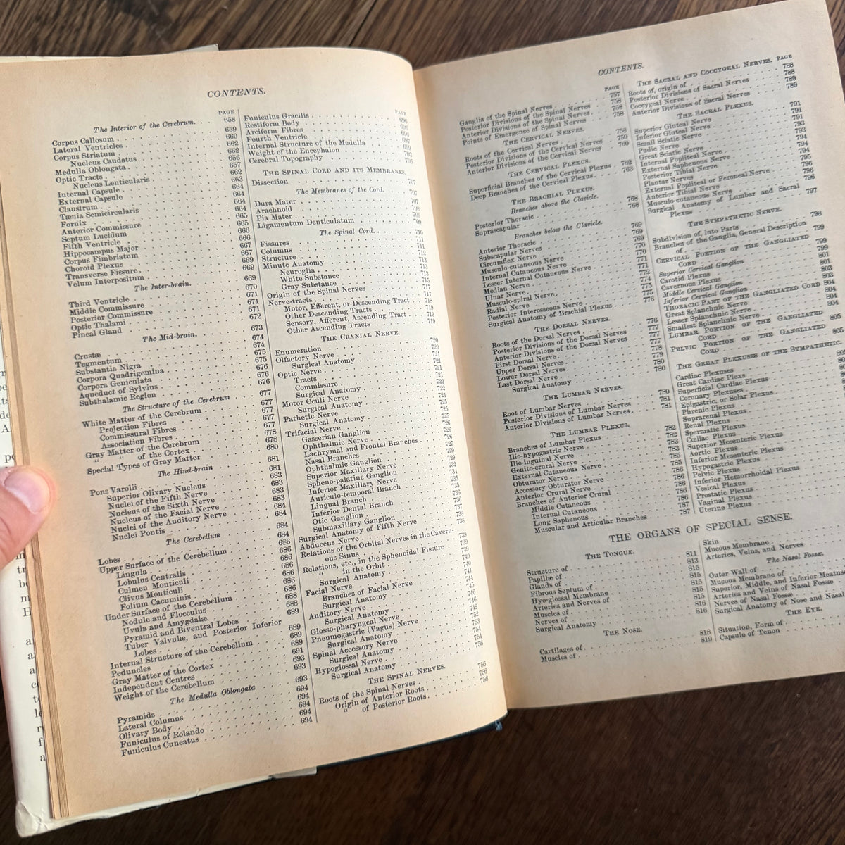 Gray’s Anatomy, 1977 Classic Collector’s Edition — Henry Gray, Descriptive & Surgical Anatomy | Bounty Books Hardcover, 780 Illustrations