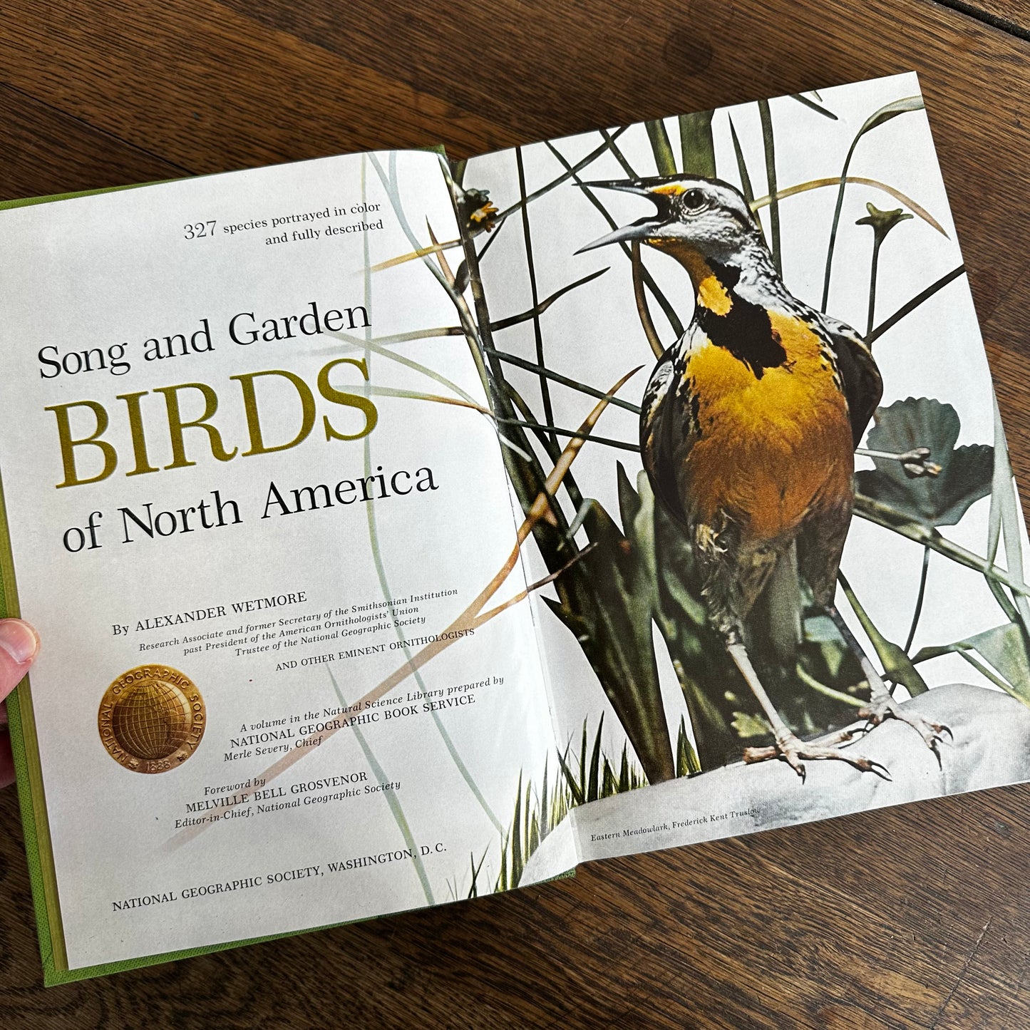 Vintage 1964 Song and Garden Birds of North America – National Geographic Society – Alexander Wetmore – Illustrated Bird Guide w/ Companion Booklet – Birdwatching Book