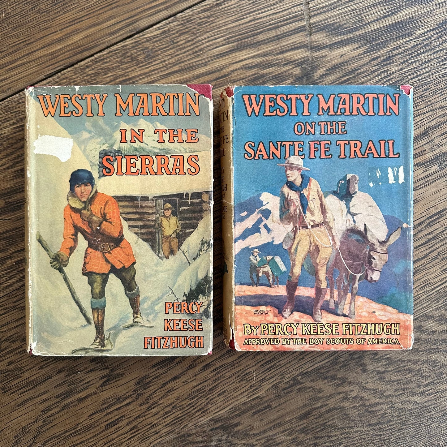 Set of 2 Westy Martin Books for Boys from the 20s and 30s!