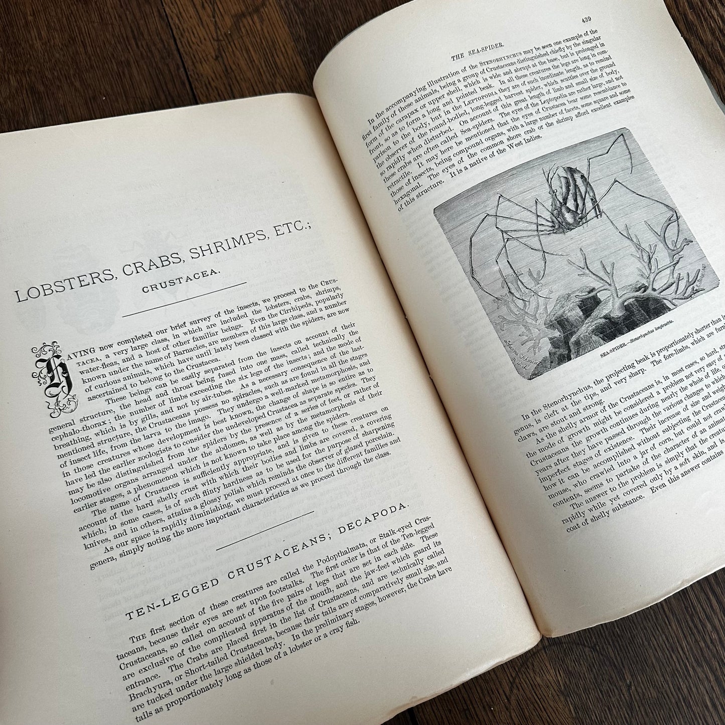 Complete 60-Part Set — Animate Creation: A Popular Edition of Our Living World, 1885-1898