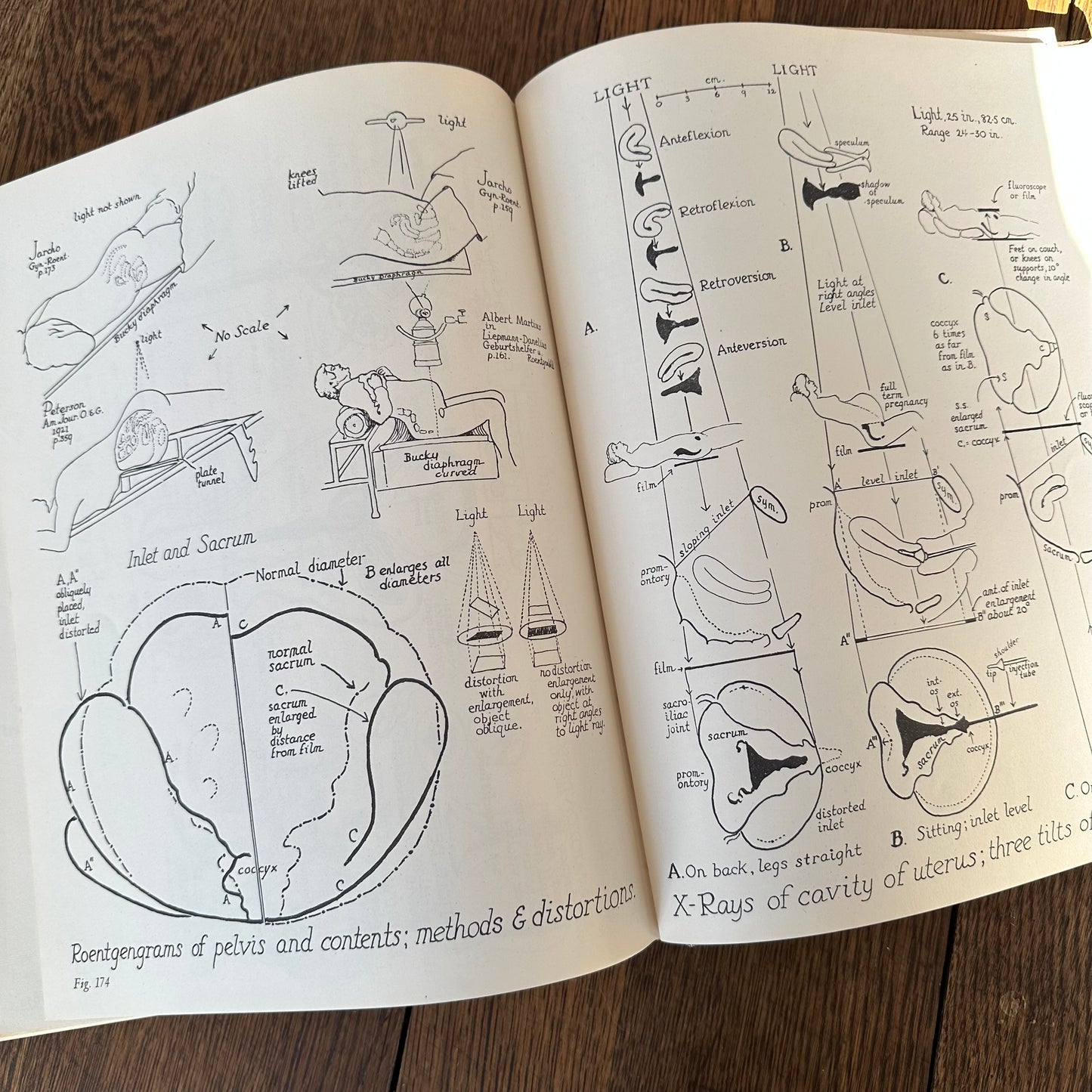 Human Sex Anatomy: A Topographical Hand Atlas, 1949