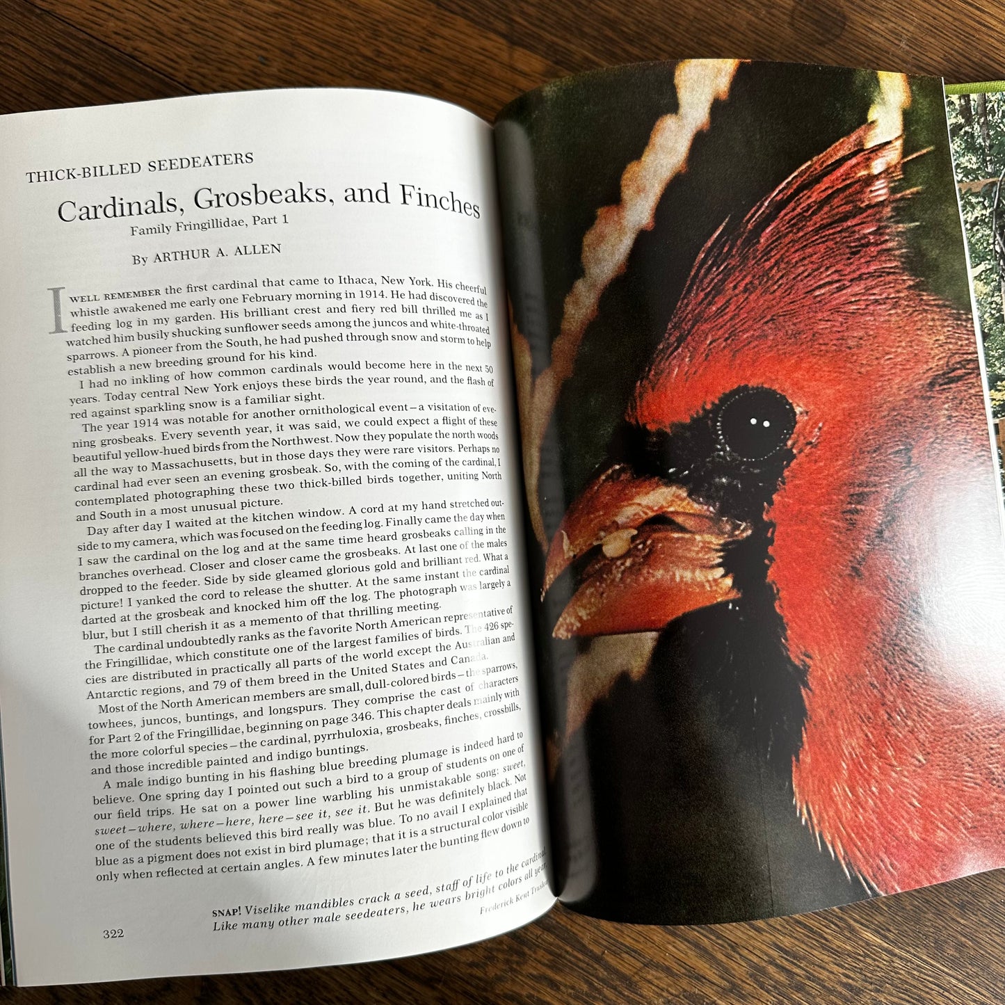 Vintage 1964 Song and Garden Birds of North America – National Geographic Society – Alexander Wetmore – Illustrated Bird Guide w/ Companion Booklet – Birdwatching Book