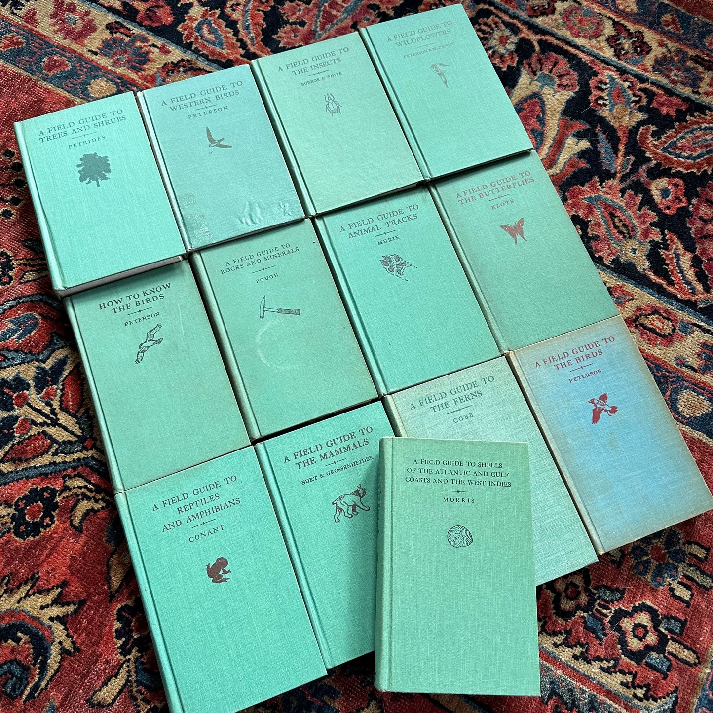 A Collection of 13 Vintage Peterson Field Guides!