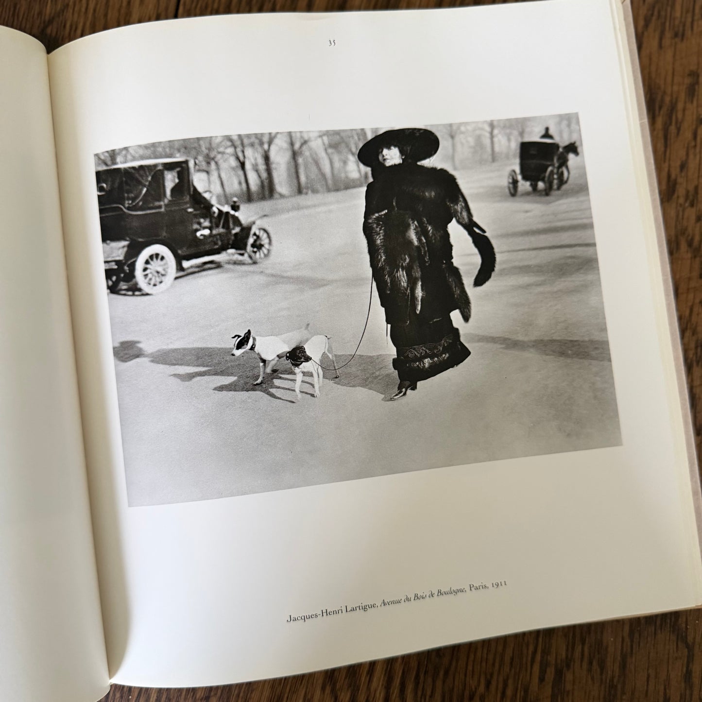 The Dog Observed: Photographs 1844-1983 by Ruth Silverman - Vintage Dog Photography Book