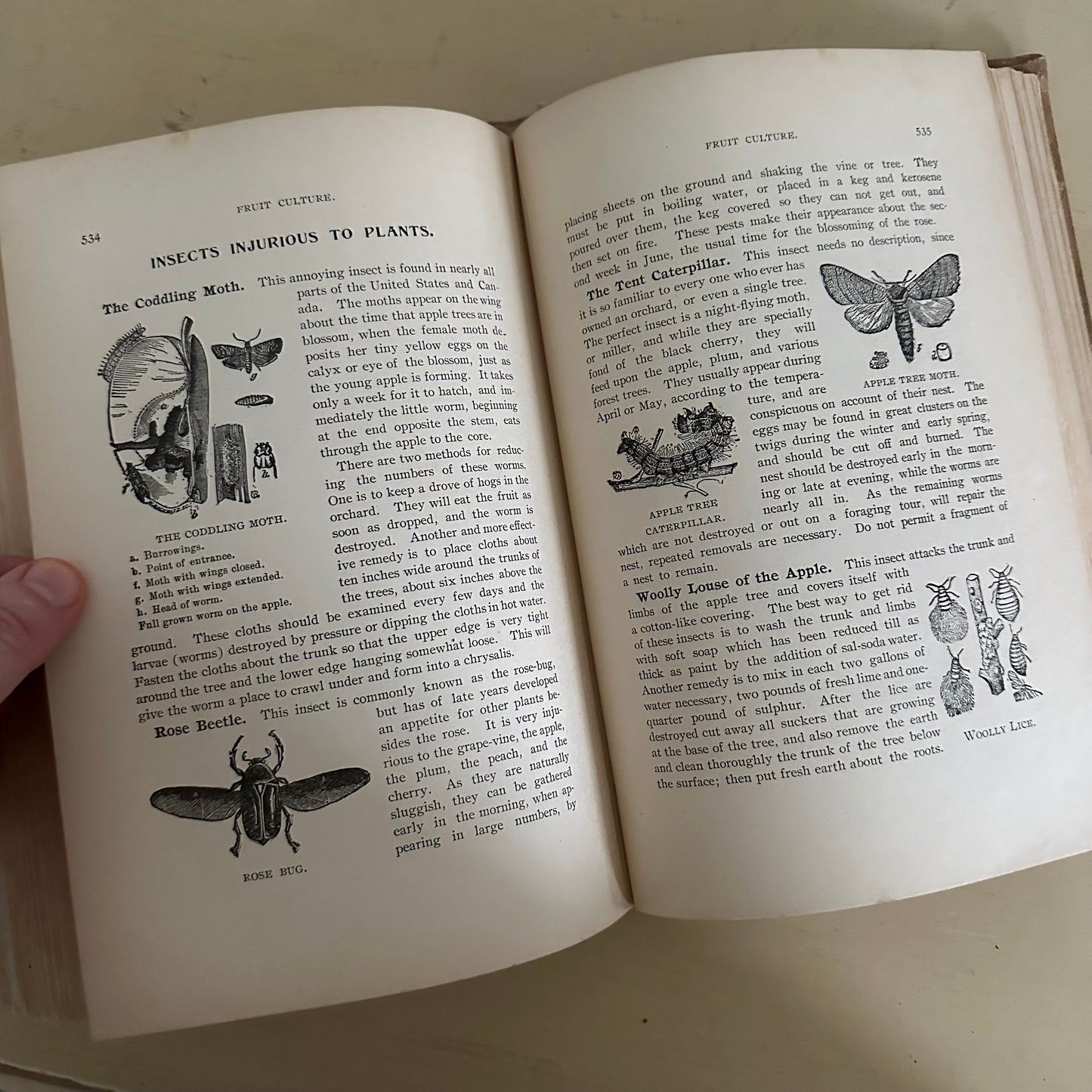 Hand-Book of Ready Reference for Farmers & Homesteaders - 1897