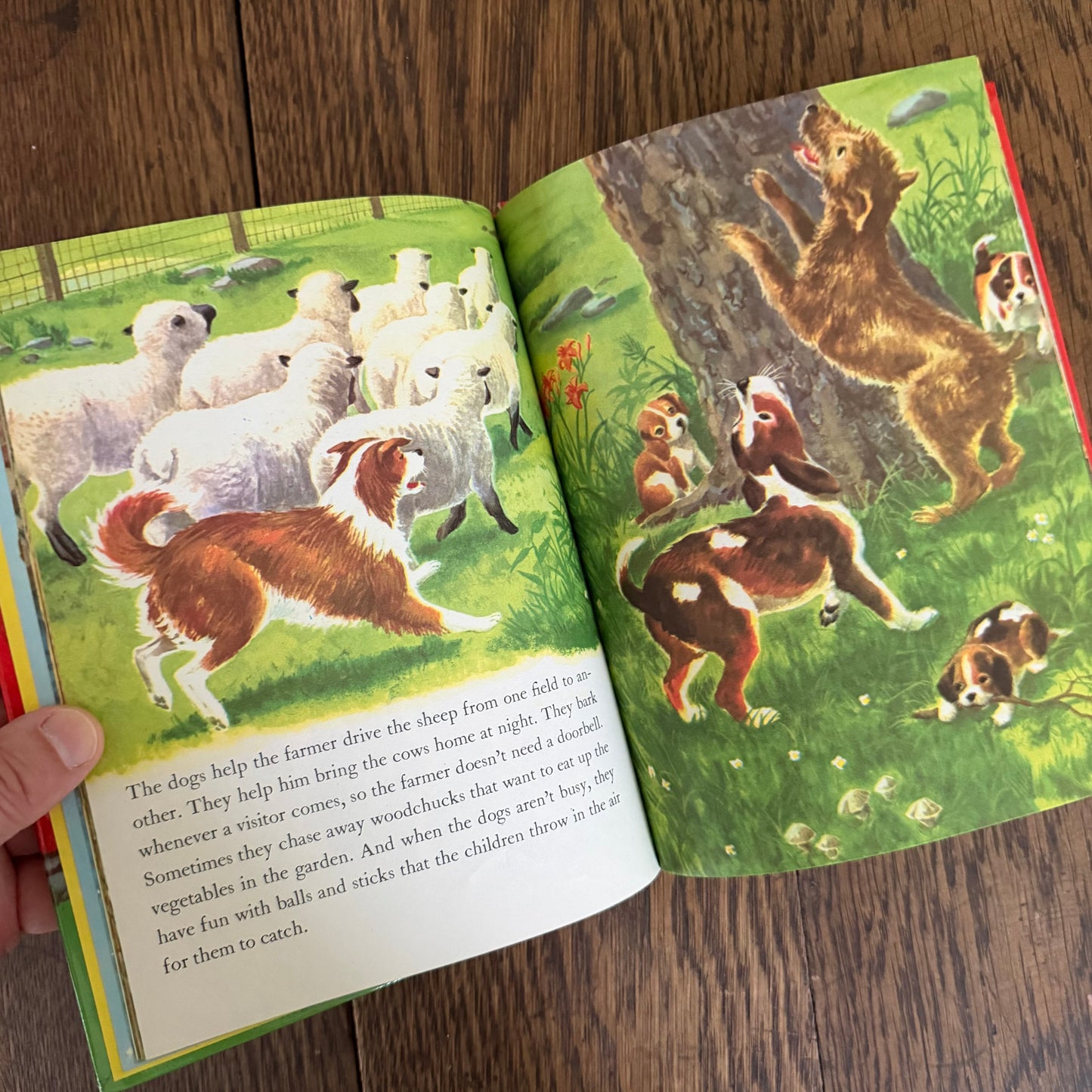 Vintage Wonder Books for Kids - Set of 11 Illustrated Children’s Books - 1940s 1950s - Nursery Story Books / Mid-Century