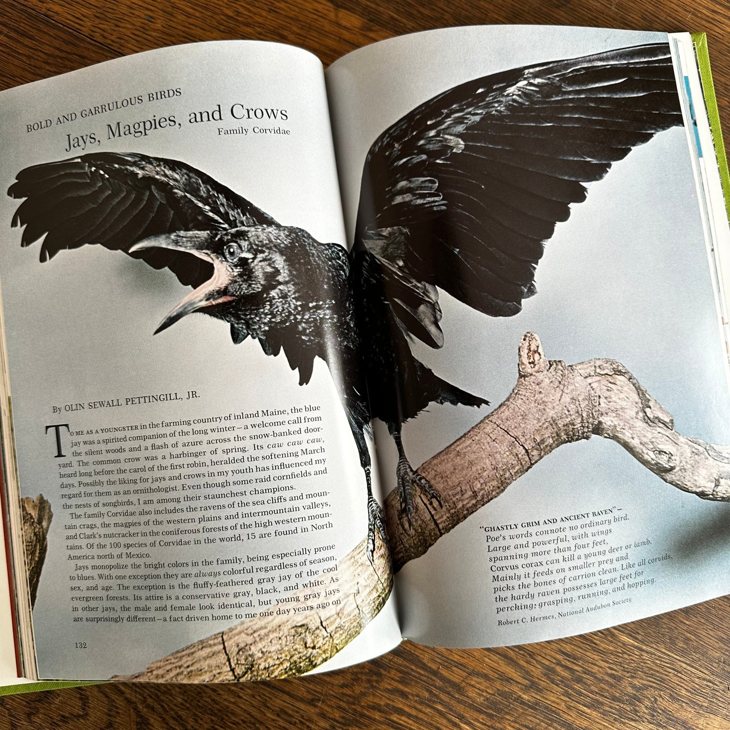 Vintage 1964 Song and Garden Birds of North America – National Geographic Society – Alexander Wetmore – Illustrated Bird Guide w/ Companion Booklet – Birdwatching Book