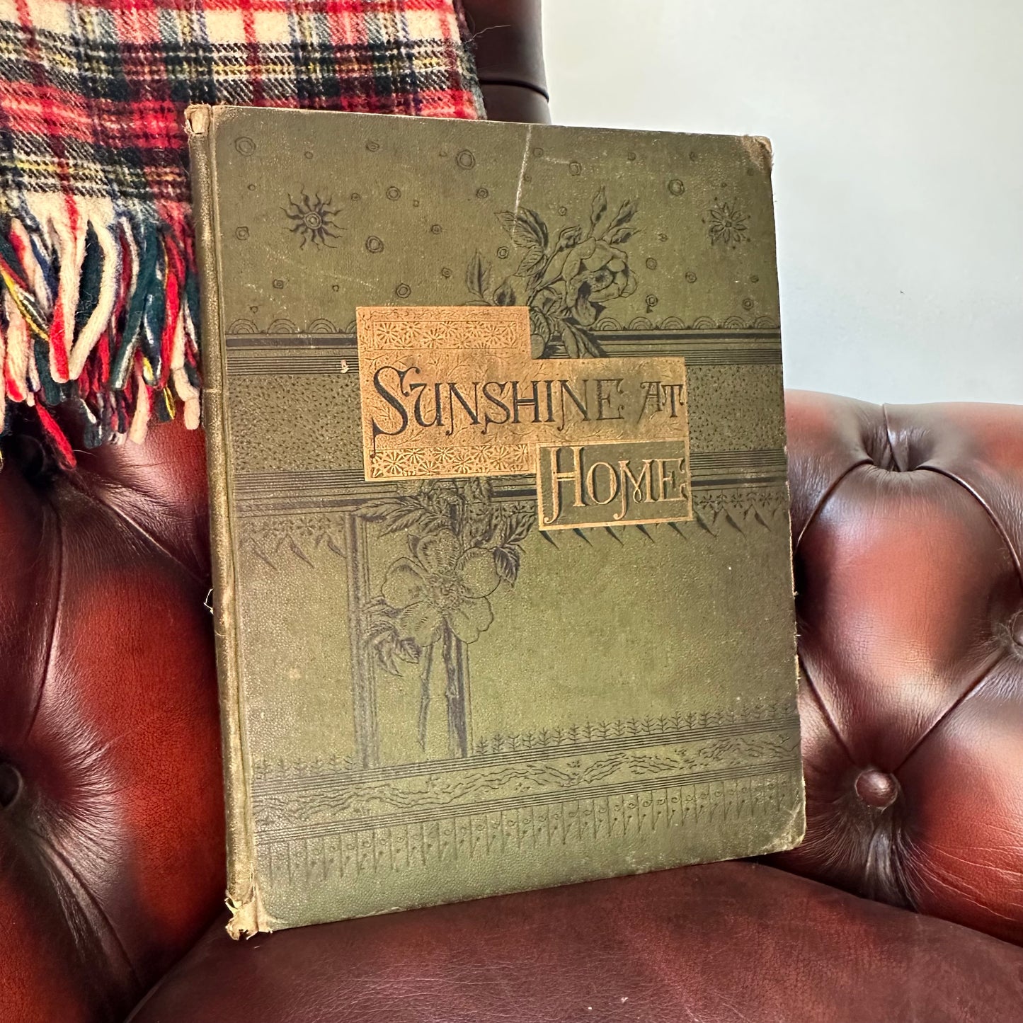 Sunshine at Home - 1883