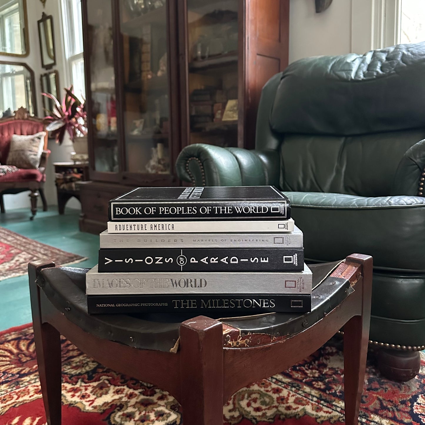 Stack of 6 Vintage NatGeo Coffee Table Books in Silver, White, and Black