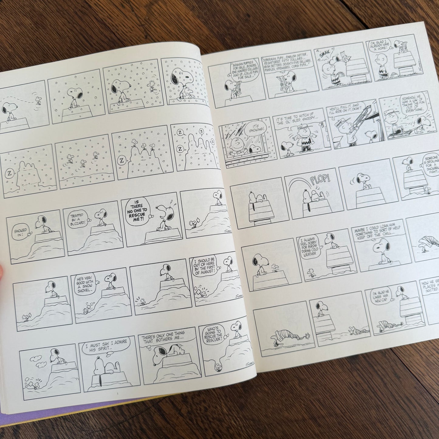 The Snoopy Festival by Charles M. Schulz 1974, Vintage Peanuts & Charlie Brown Coffee Table Book, Holt Rinehart Winston