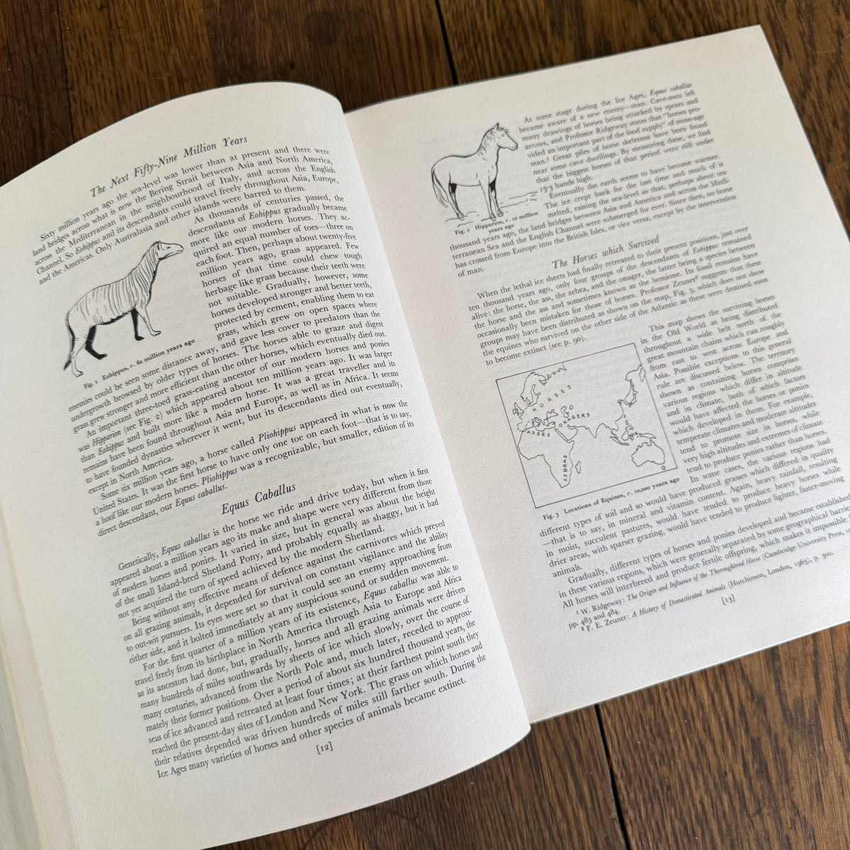 The World’s Finest Horses and Ponies - 1971 Vintage Coffee Table Book by Richard Glyn with Photos from Sally Anne Thompson