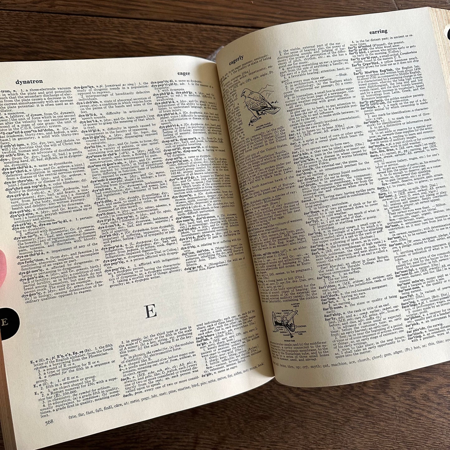 HUGE, Vintage Webster’s Dictionary, 1963