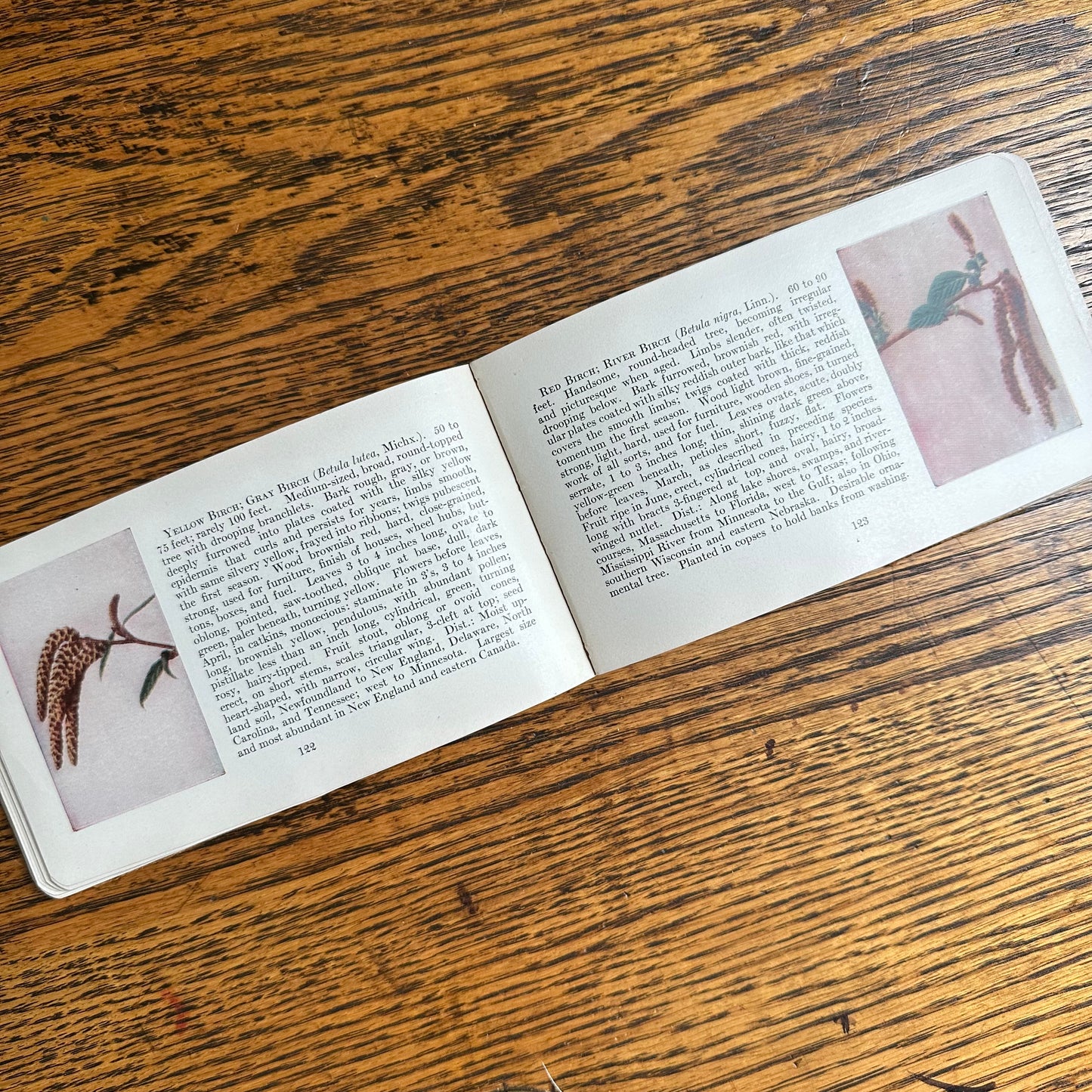 A Set of 3 Leather-Bound Pocket Nature Guides - 1916