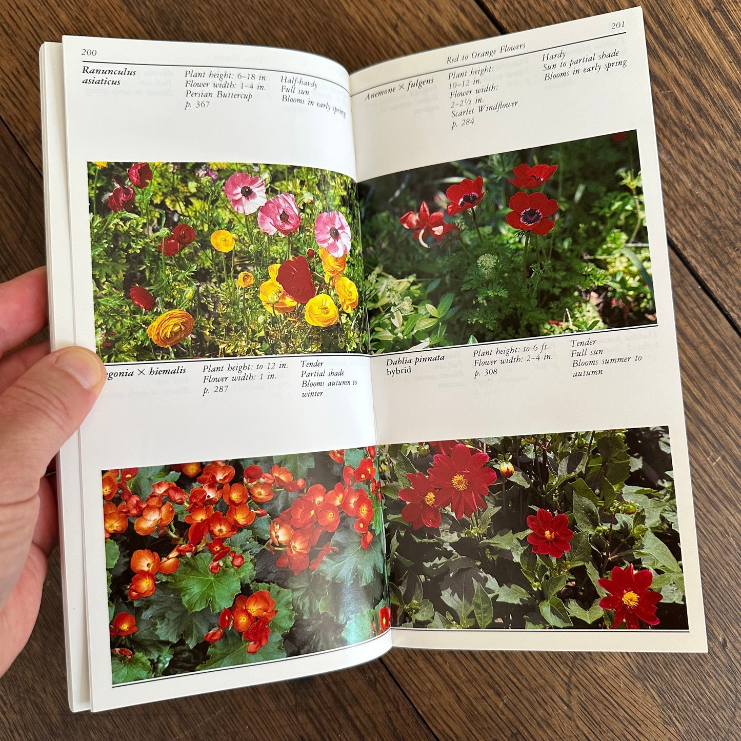 A Set of 7 Vintage Taylor’s Garden Guides!