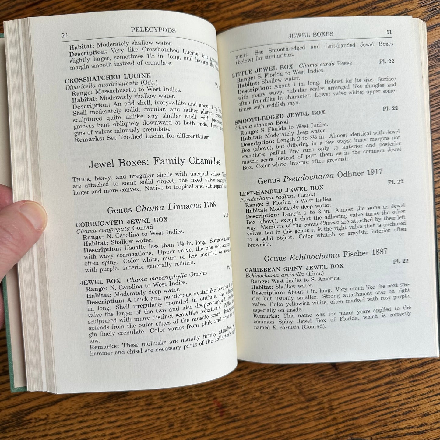 A Collection of 13 Vintage Peterson Field Guides!