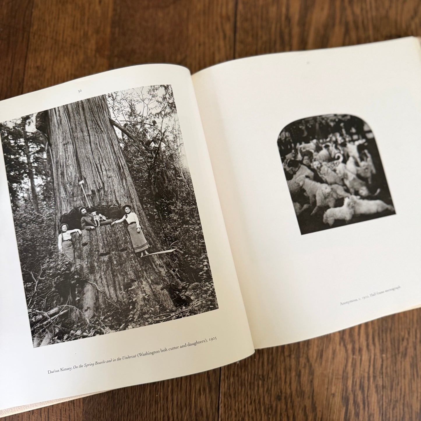 The Dog Observed: Photographs 1844-1983 by Ruth Silverman - Vintage Dog Photography Book