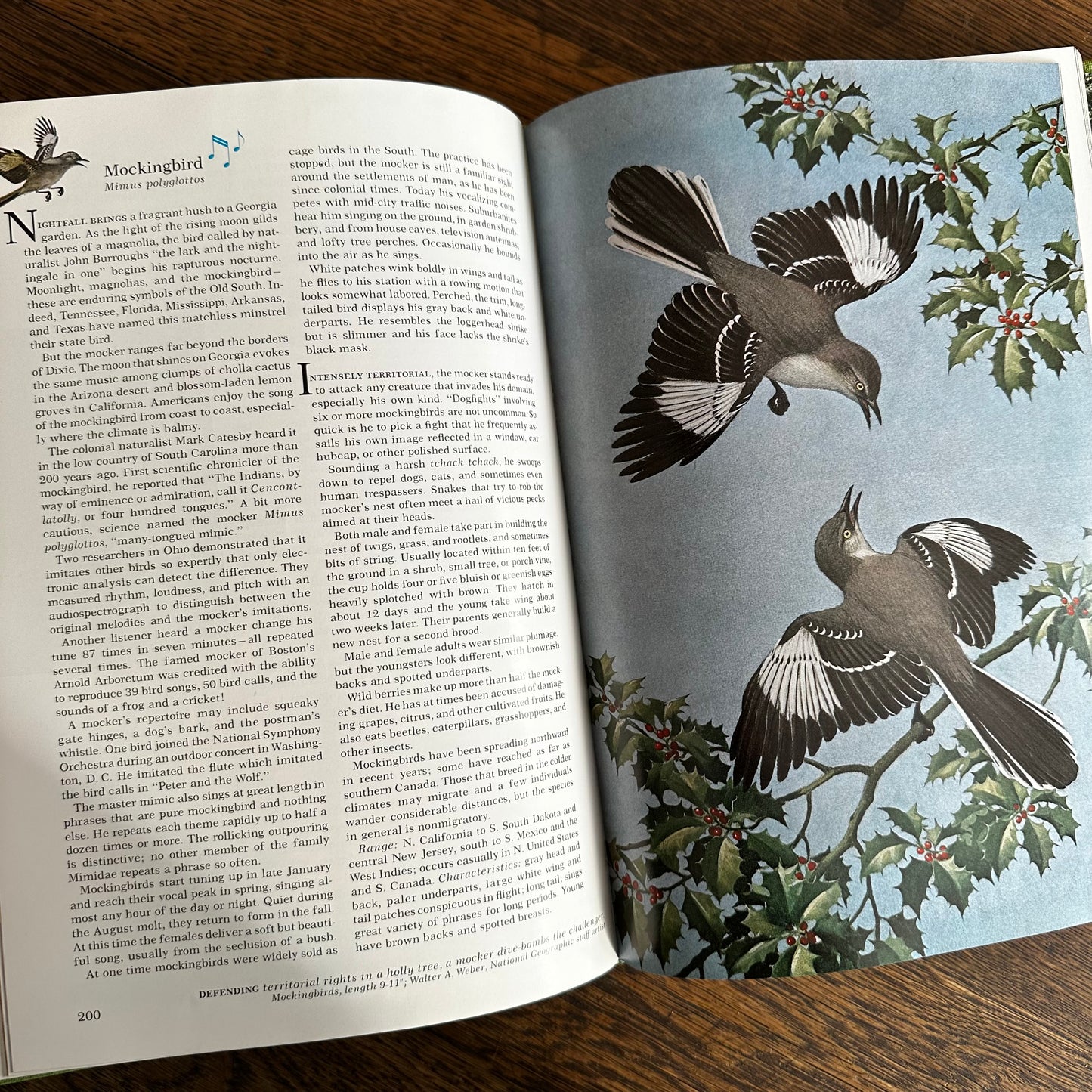 Vintage 1964 Song and Garden Birds of North America – National Geographic Society – Alexander Wetmore – Illustrated Bird Guide w/ Companion Booklet – Birdwatching Book