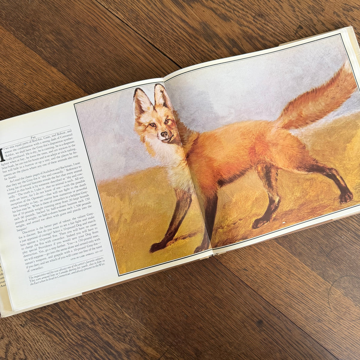 The Worlds of Ernest Thompson Seton -  1976 - First Edition - Edited by John G. Samson- Vintage Wildlife Art Nature Book