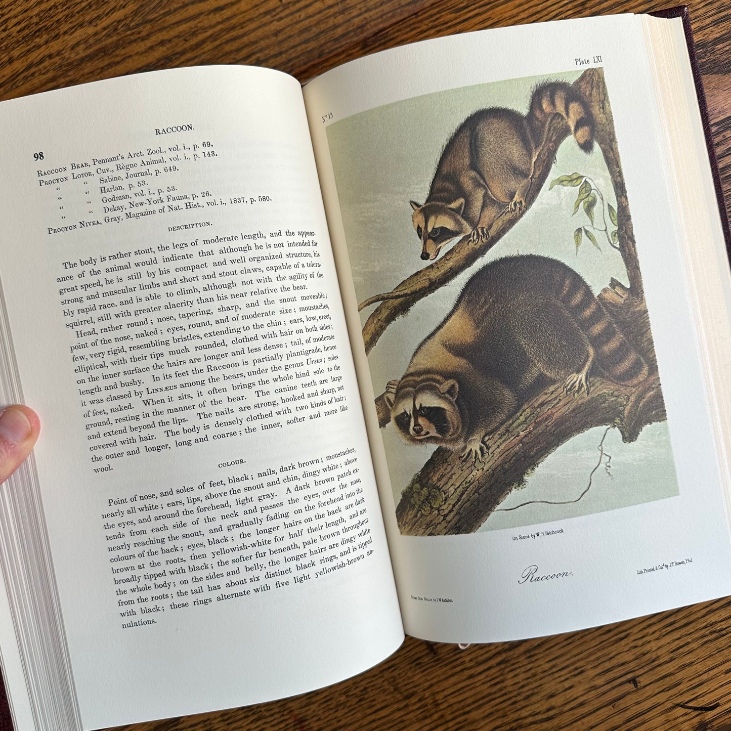 Set of 2 Slipcovered Volair Limited Editions of John James Audubon’s Classics - 1977