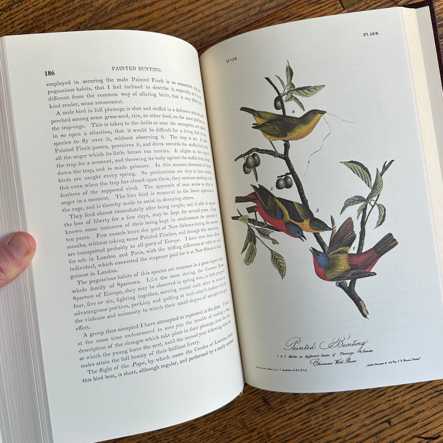 Set of 2 Slipcovered Volair Limited Editions of John James Audubon’s Classics - 1977