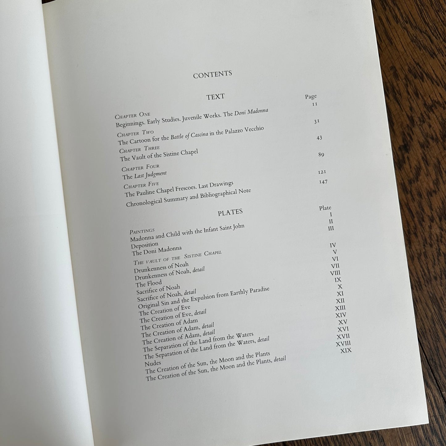 Michelangelo: The Painter by Valerio Mariani | Vintage 1964 Art Book | Harry N. Abrams Fine Art Monograph