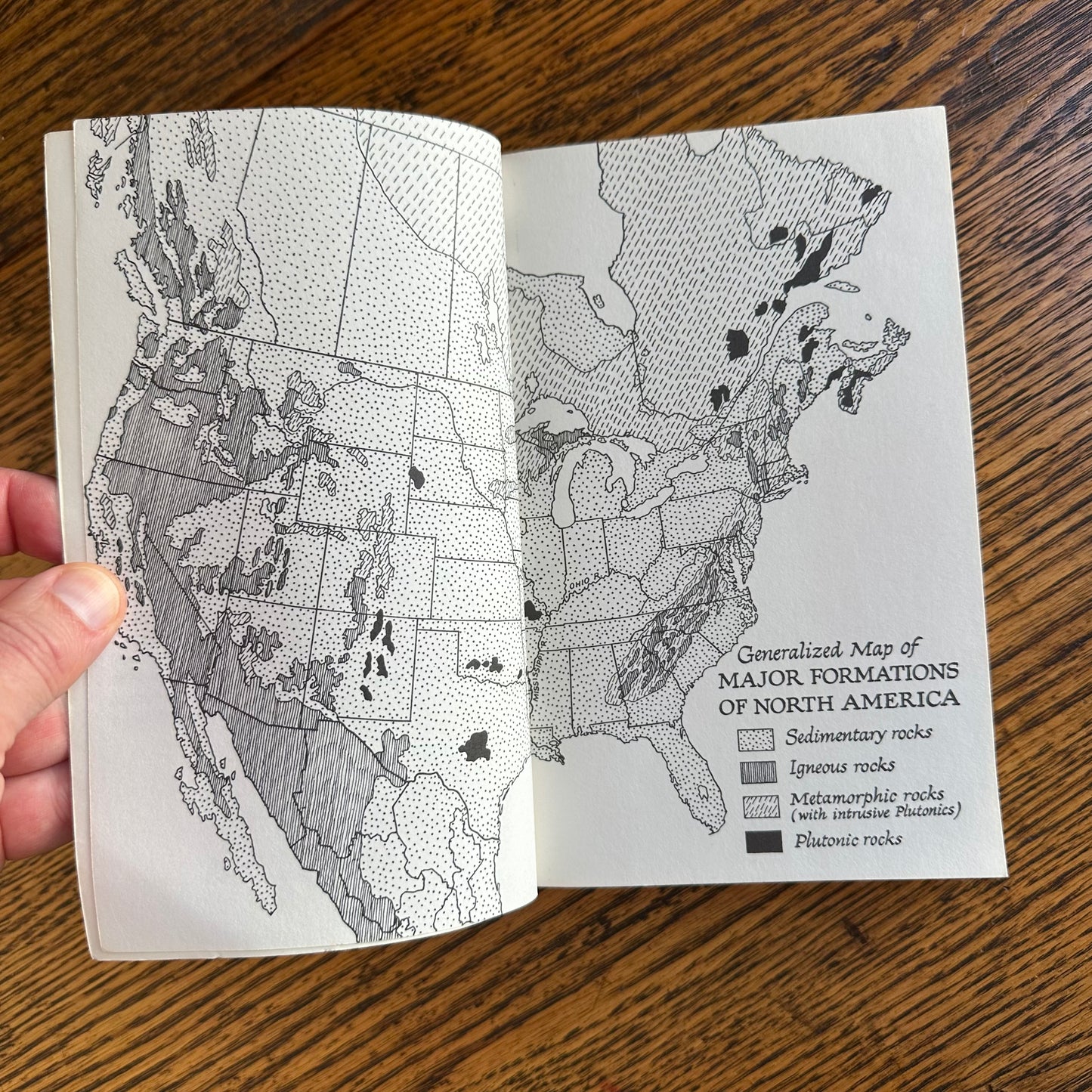 Set of 6 Vintage Peterson Field Guides | Softcover 1970s–80s Nature Books | Birds, Ferns, Wildflowers, Shells, Stars, Rocks