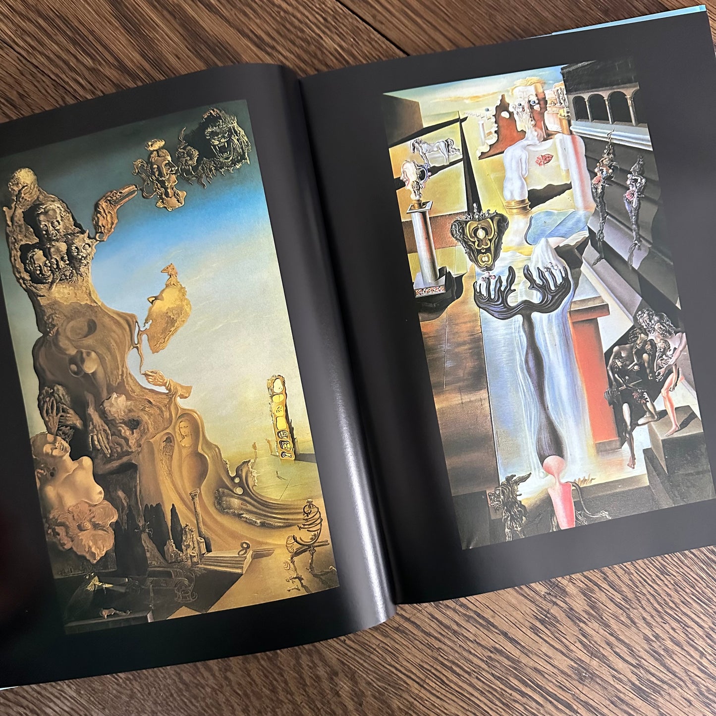 Salvador Dali - A Coffee Table Book - 1998