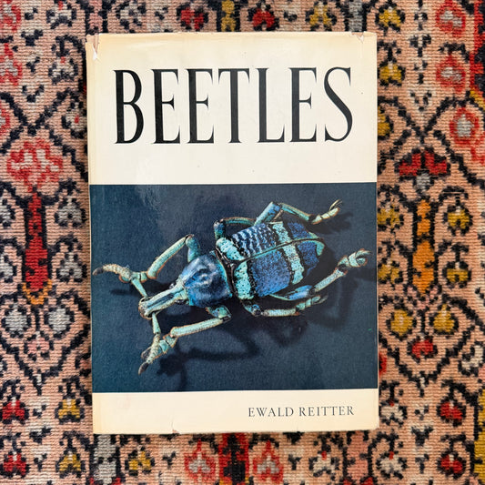 Beetles by Ewald Reitter - 1961, Vintage Natural History Book for the Coffee Table - Color Illustrations - Entomology - G.P. Putnam’s Sons