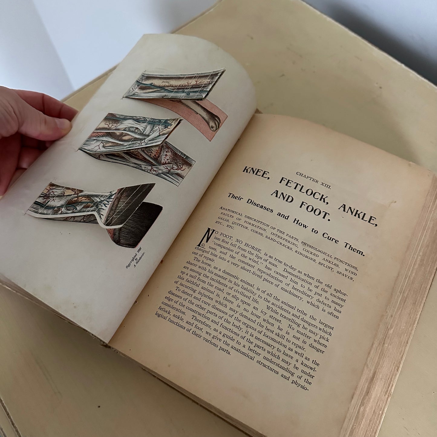 Hand-Book of Ready Reference for Farmers & Homesteaders - 1897