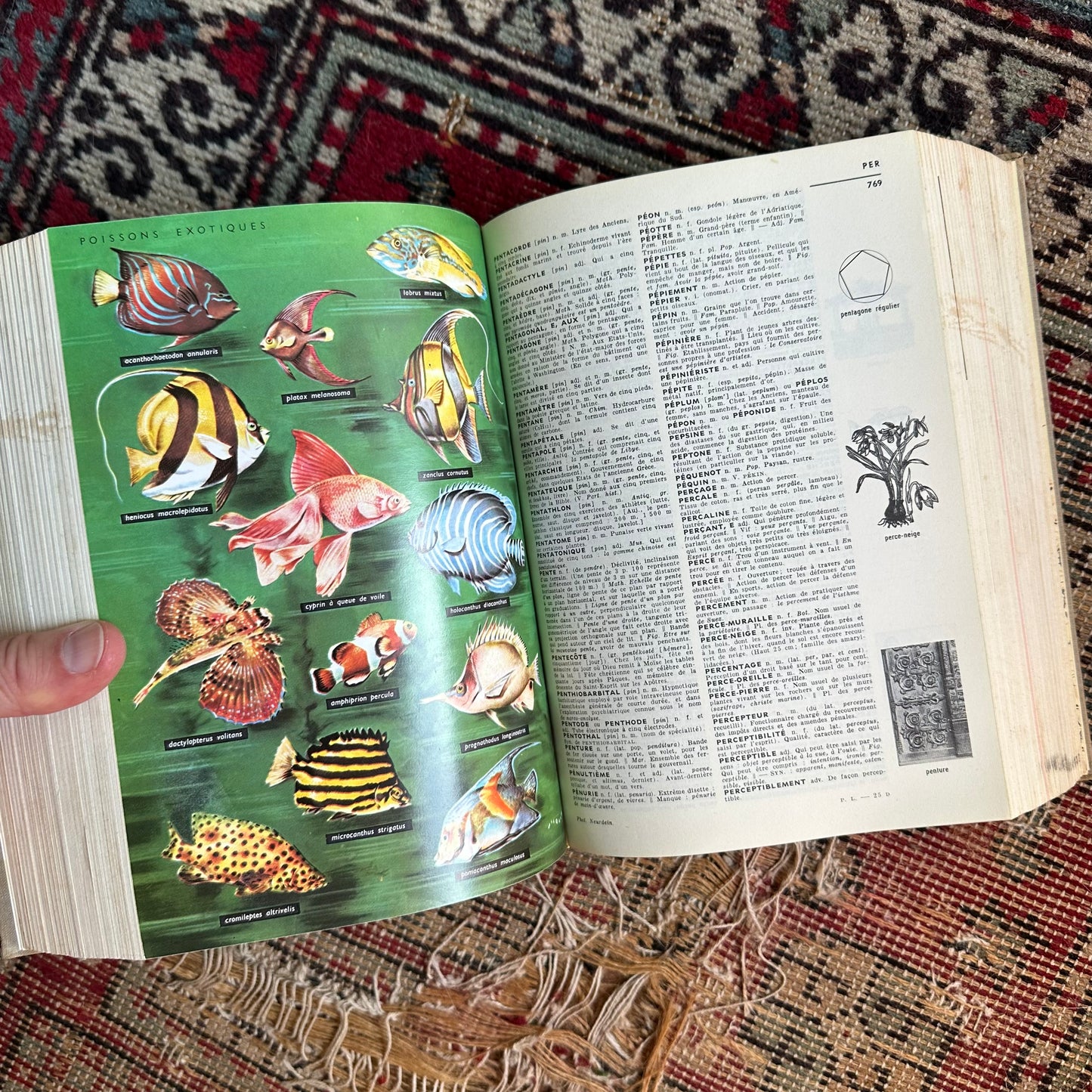 Petit Larousse French Encyclopedic Dictionary - 1967
