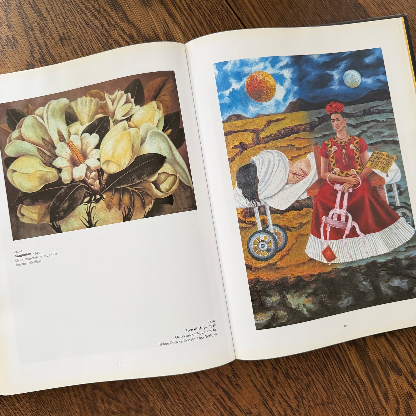Frida Kahlo by Salomon Grimberg | Oversized Art Book | Hardcover with Dust Jacket | 2004 | Mexican Artist Biography | Illustrated