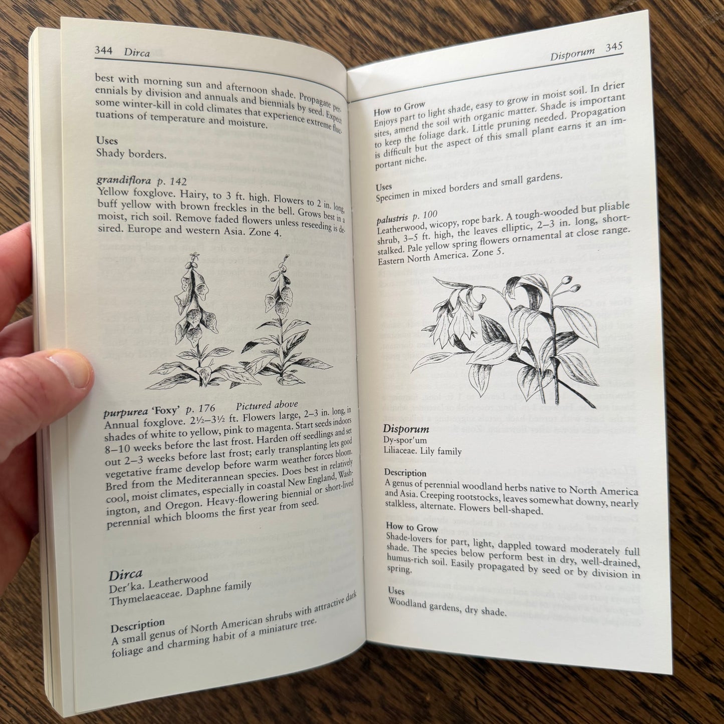 Taylor’s Guides to Gardening Set of 10 | Houghton Mifflin 1986–1996 | Bulbs Roses Herbs Houseplants Garden Design | Vintage Gardening Books